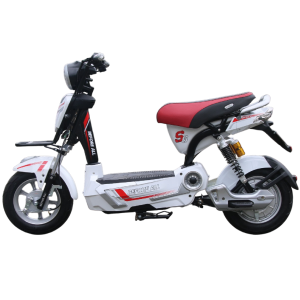 Xe máy điện S6